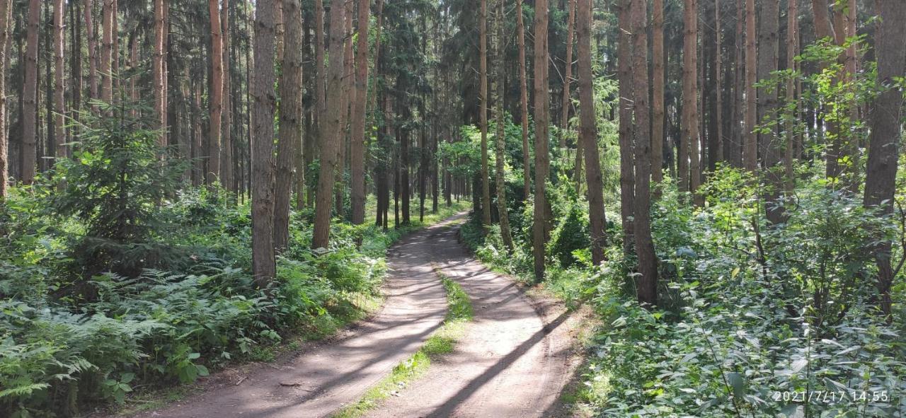 Chata Mareček - v lesní osadě u řeky Lužnice Skalice Exterior foto